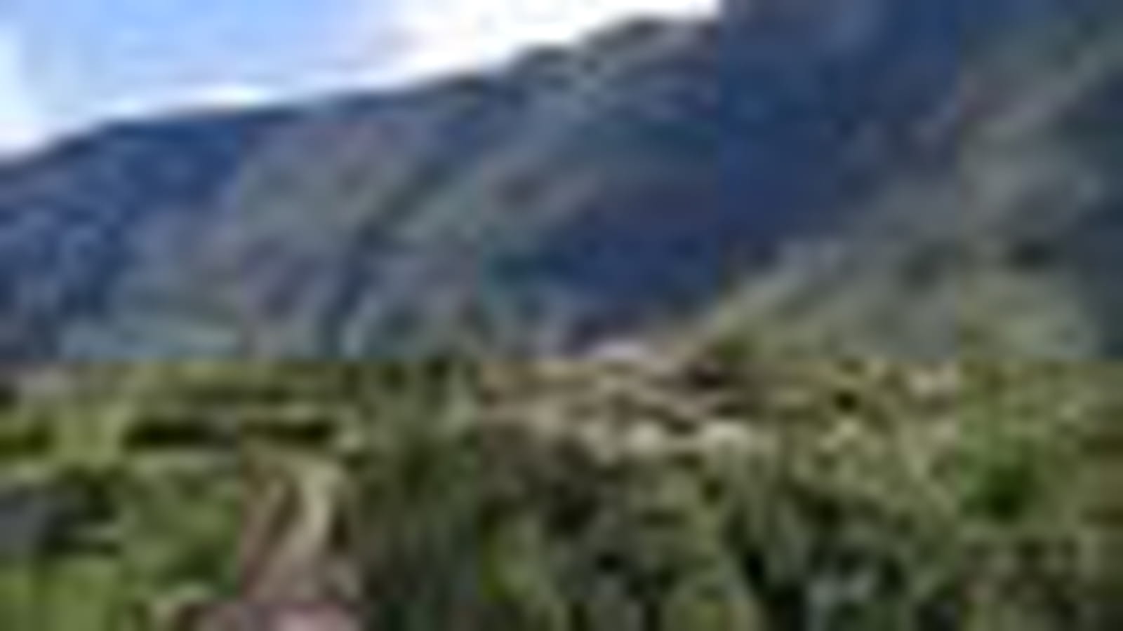 La Réunion