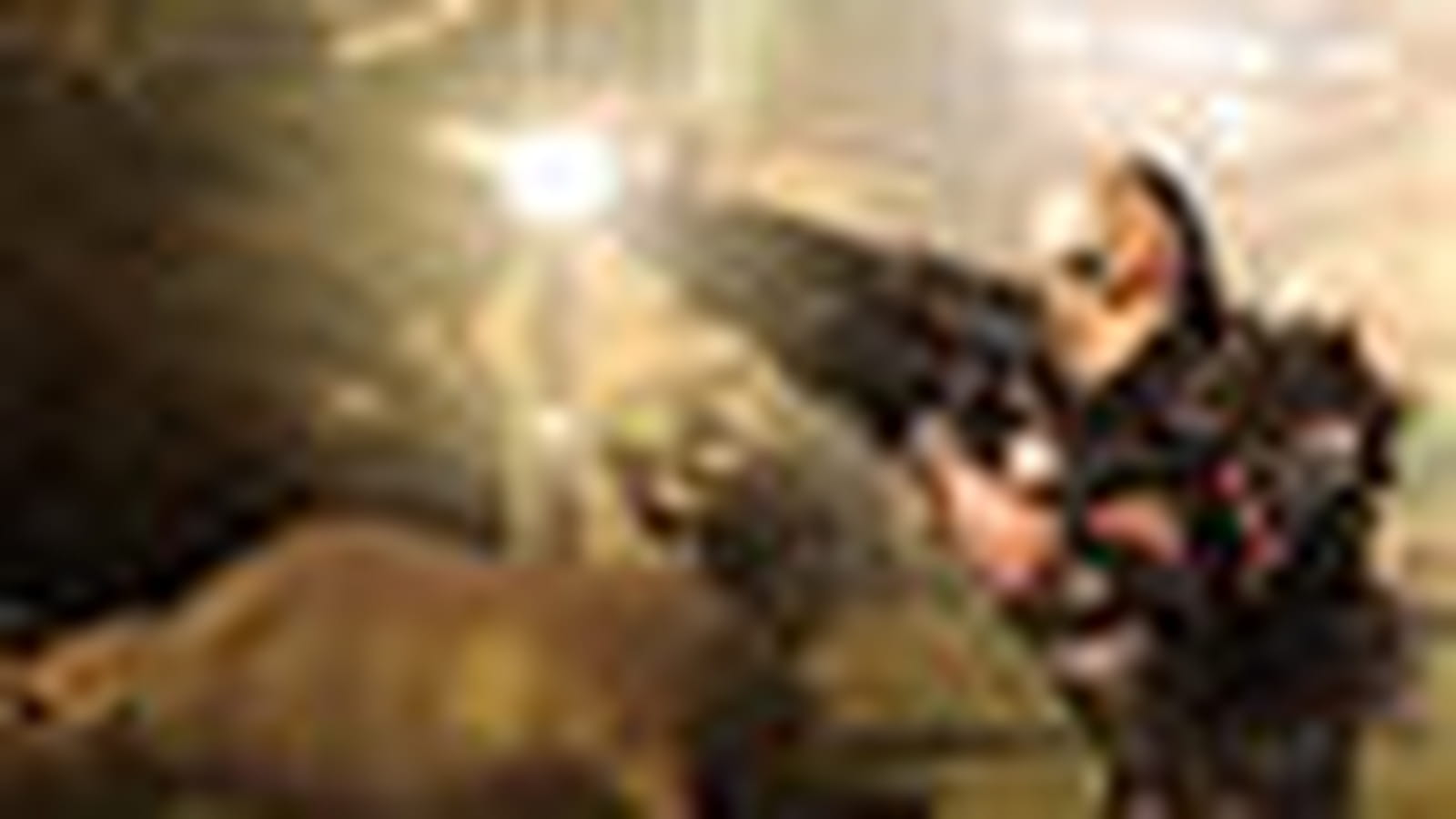 Le 40e jour : le gameplay
