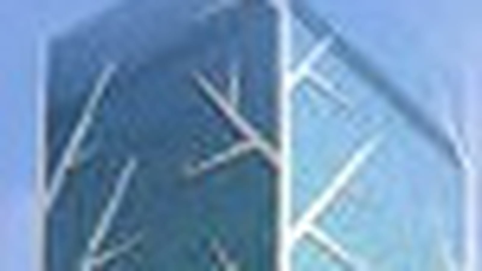 Tiara United Towers
