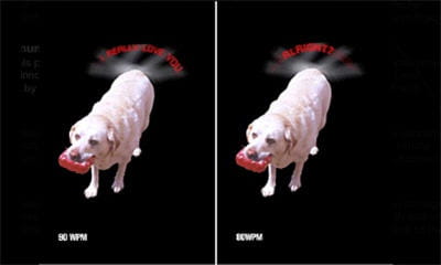 on fixe le traducteur directement à la queue du chien, pour lire littéralement