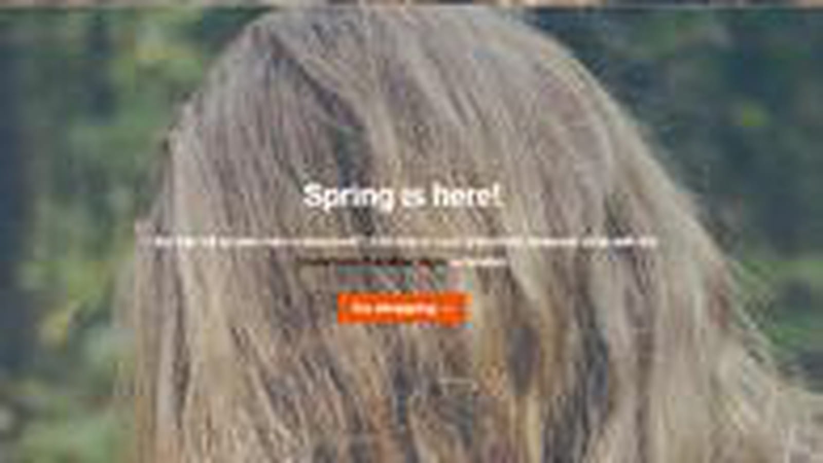 Storefront