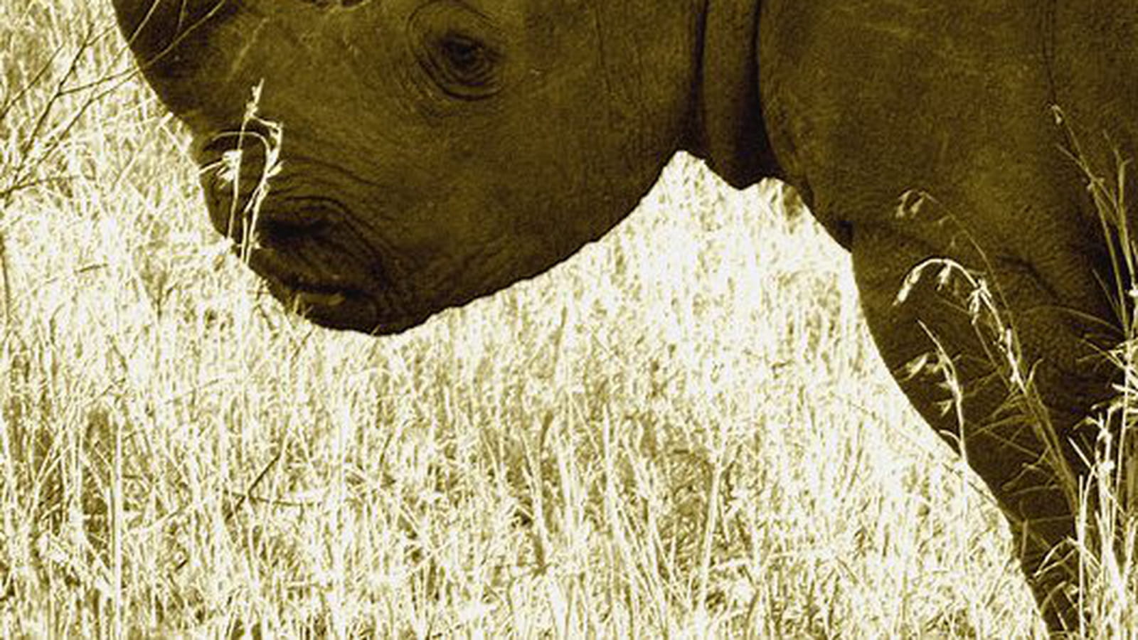 Zoo d'espèces disparues