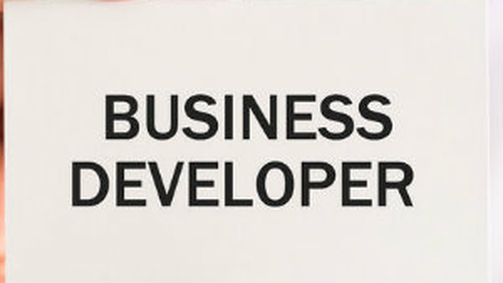 Business developer