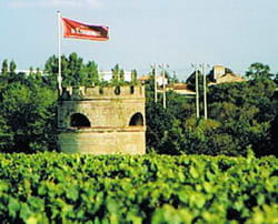 le cos d'estournel, dans le médoc est une des propriétés de la famille.