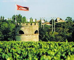 le cos d'estournel, dans le médoc est une des propriétés de la famille.