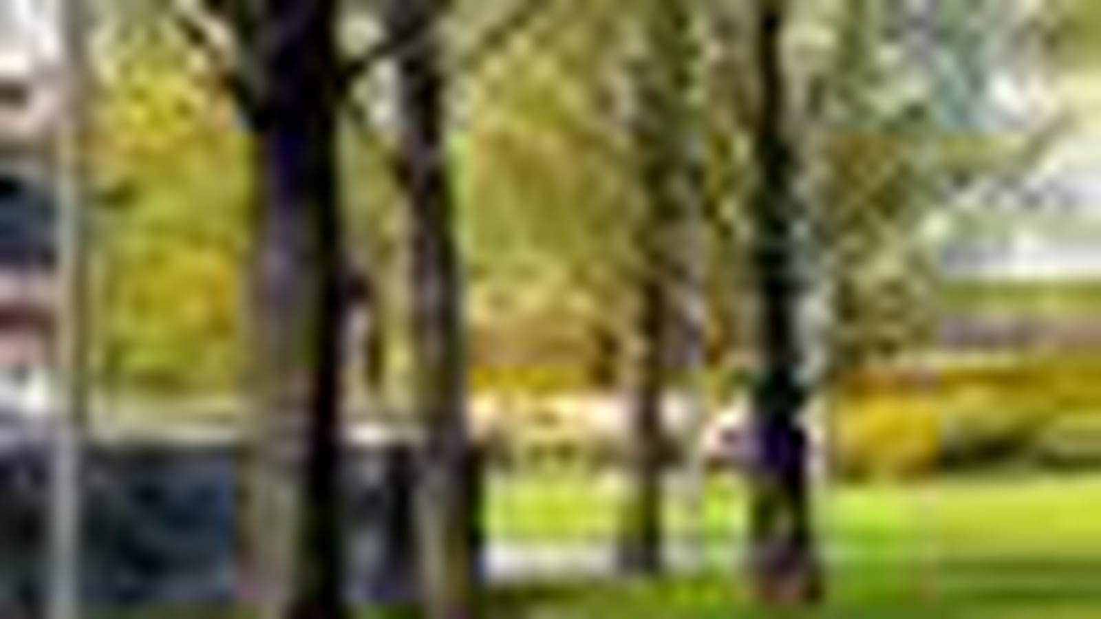 Parcs