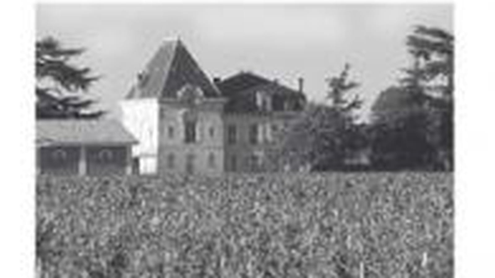 Château L'Evangile