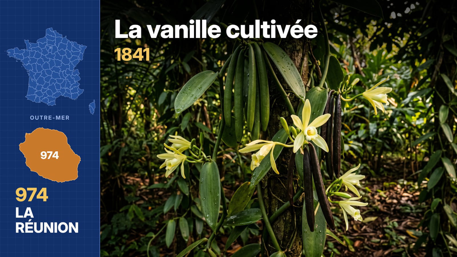 La Réunion