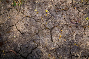 Les trois vagues de canicule en France en 2026&nbsp;font peser un risque baissier sur la croissance