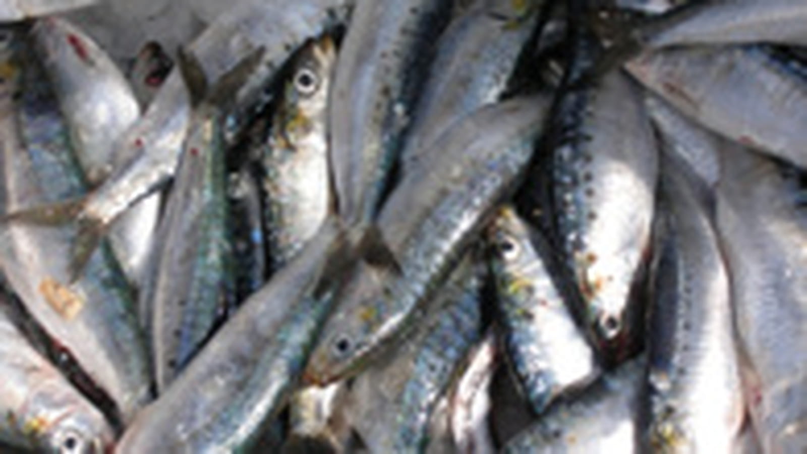 Poisson