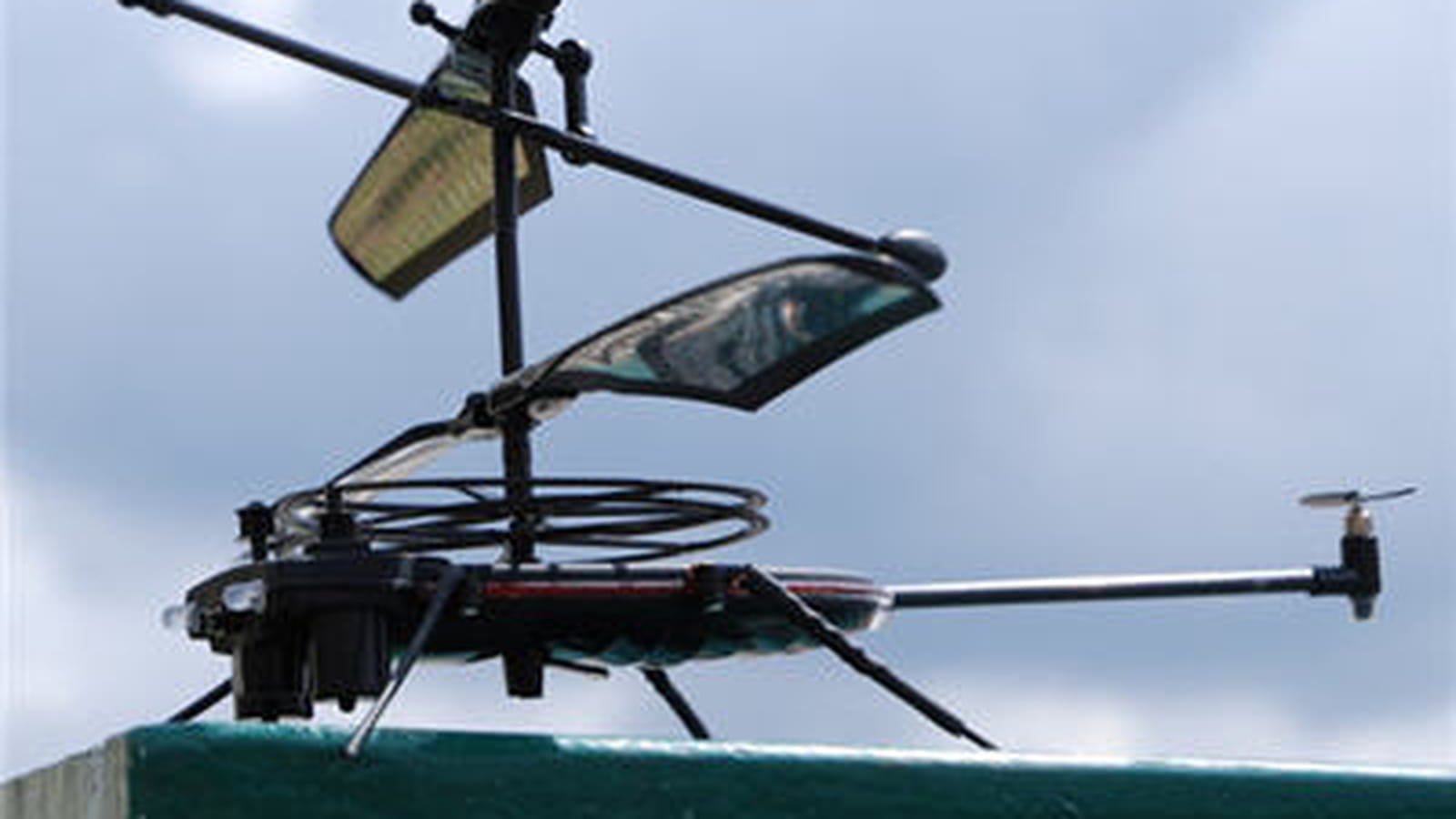 Moustique volant