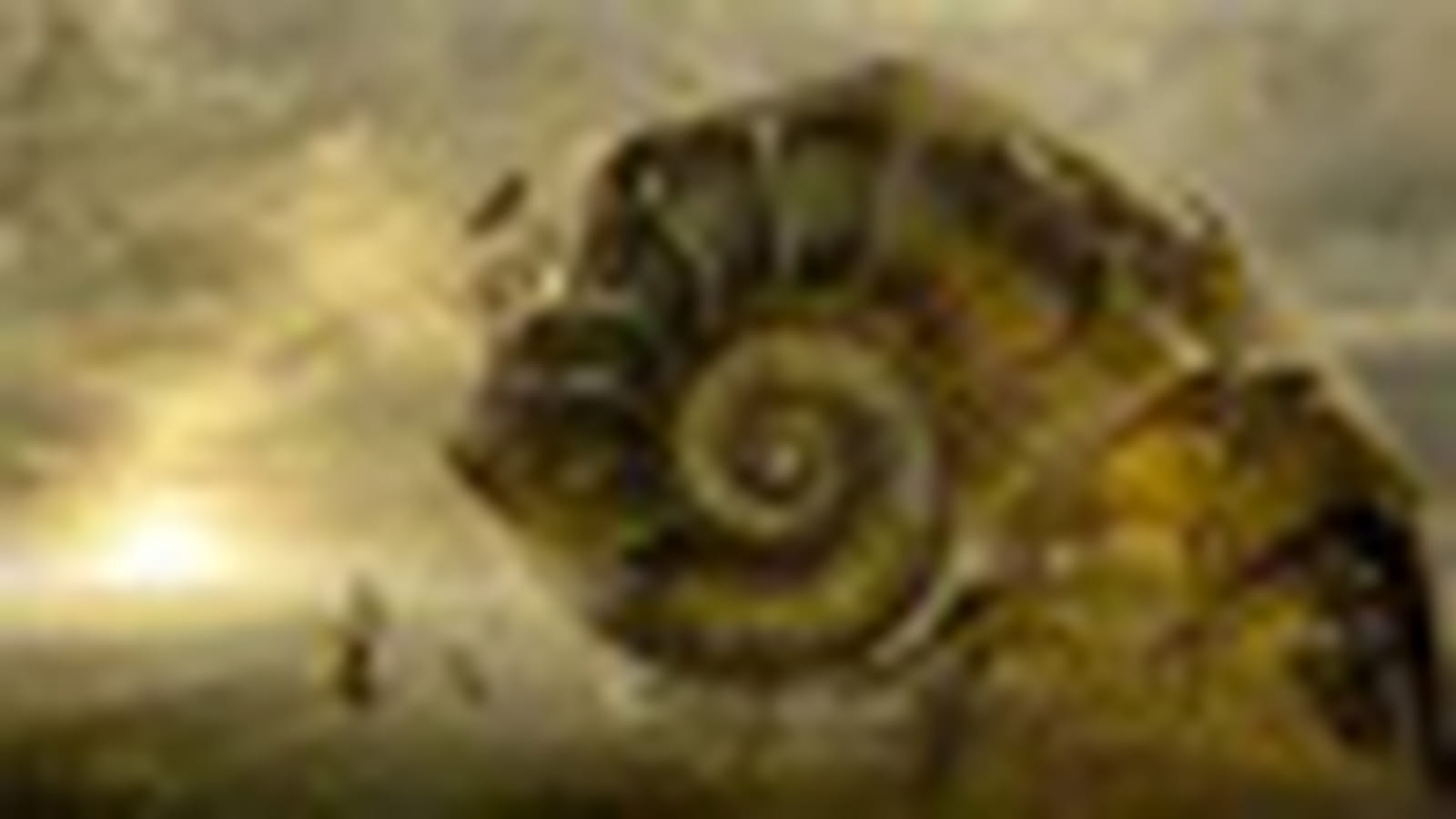 Harmonie avec la nature