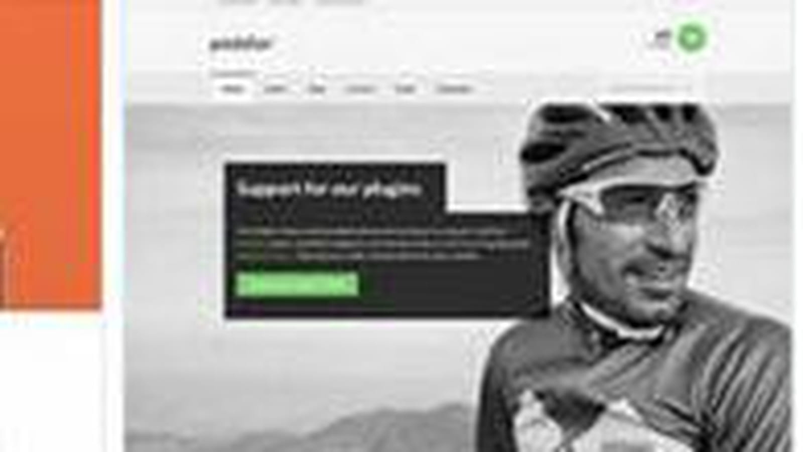 WordPress Responsive