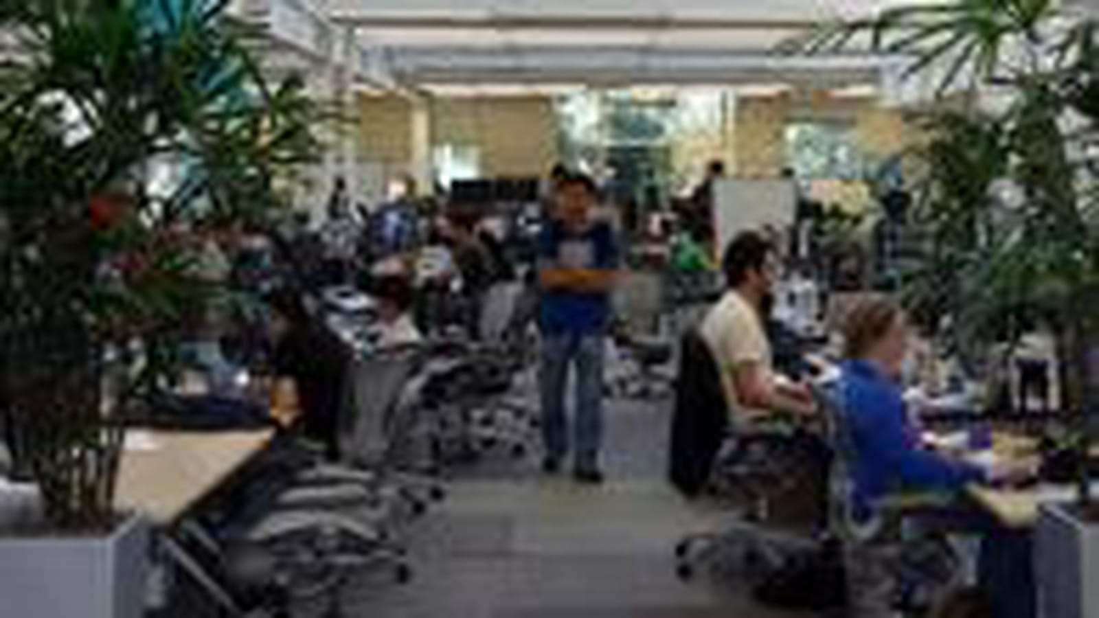 Organisation