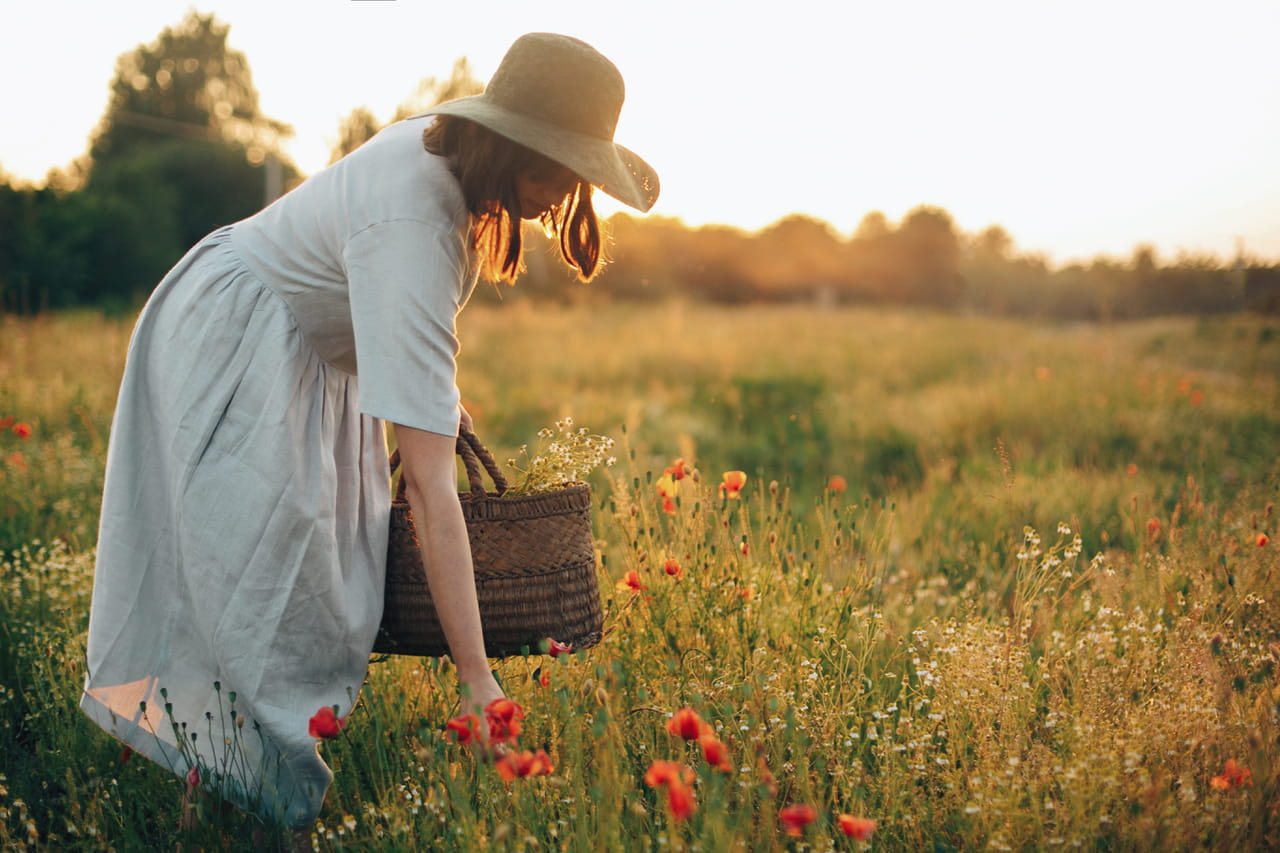 C'est le printemps, les fleurs reviennent : voici les lieux où il est strictement interdit de les cueillir sous peine d'une lourde amende