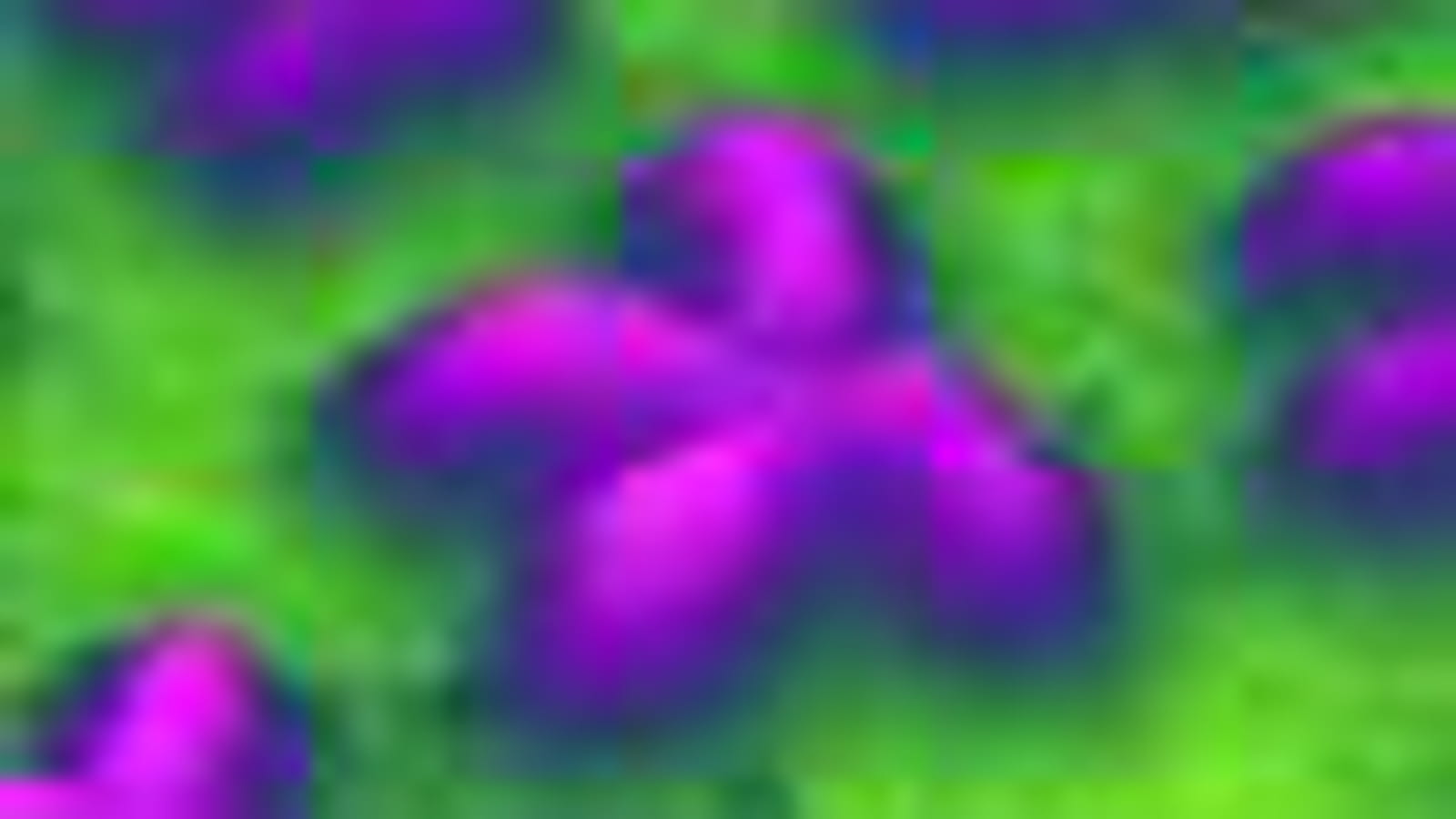 Chromosome