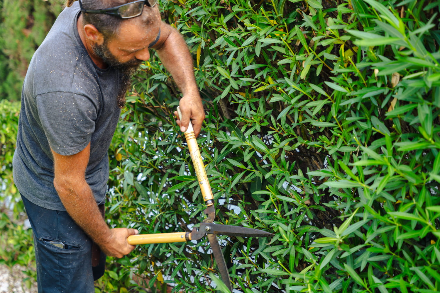 Contrôlé en train de jardiner pendant son arrêt maladie, ce salarié perd ses indemnités journalières
