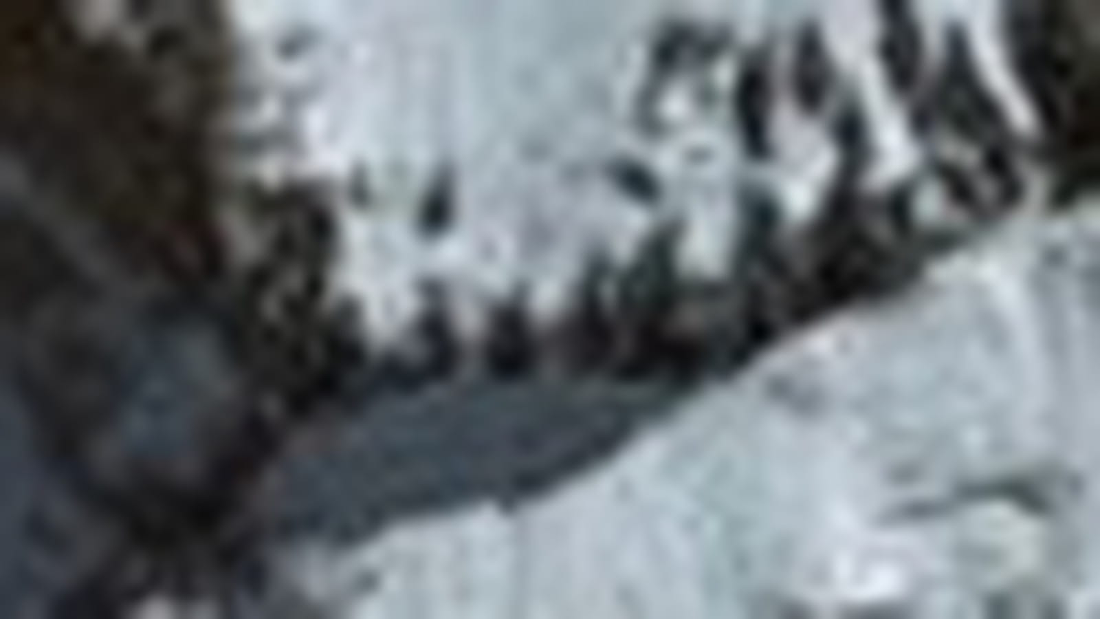 Kilimandjaro