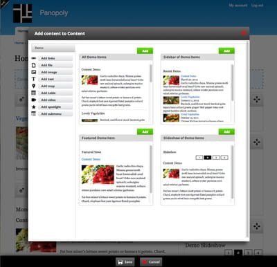 capture d'un site de démonstration.