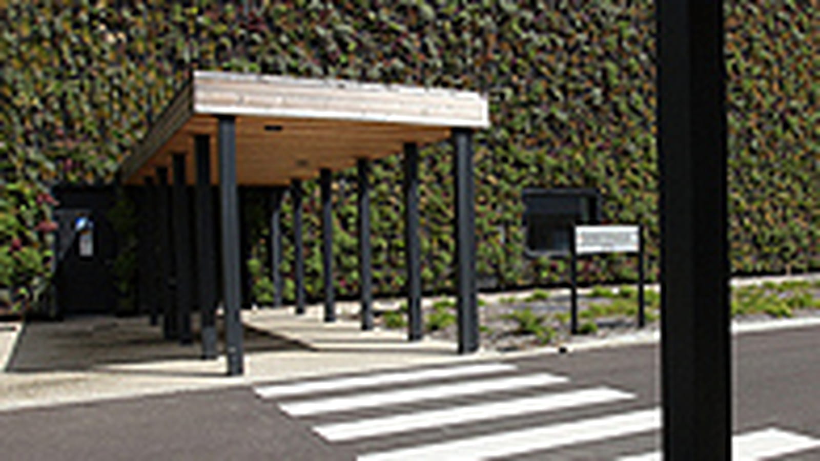 Un mur végétal