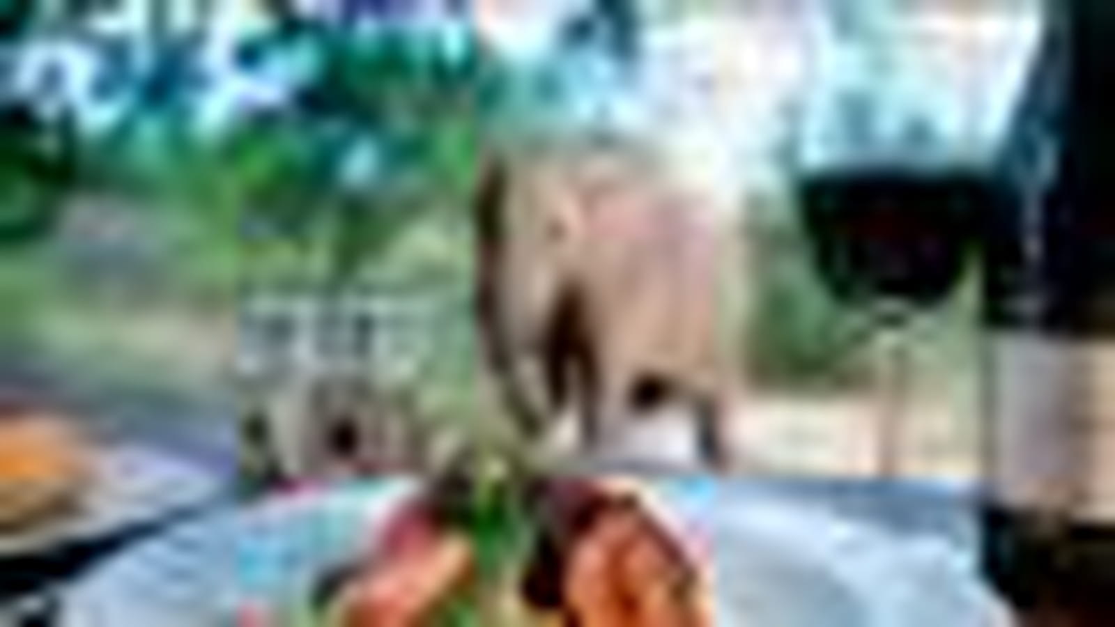 Ulusaba
