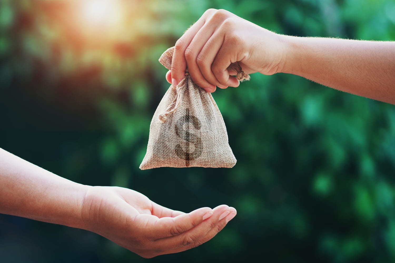 Revenu Universel Quelles Propositions