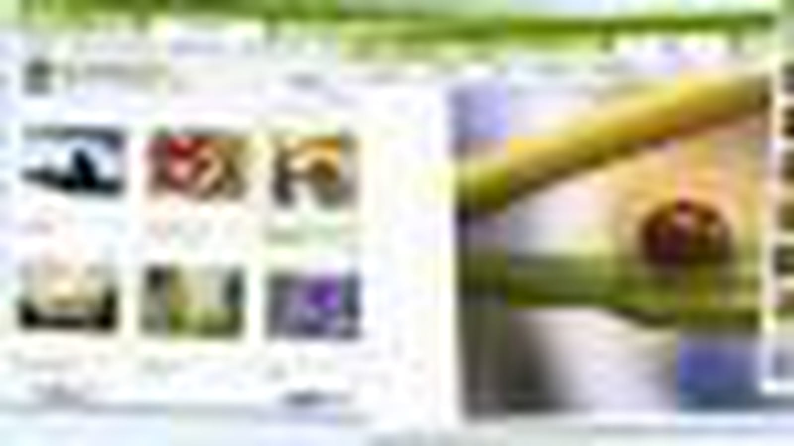 Picnik