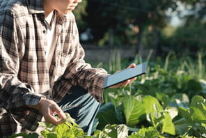 L'IoT, un outil pour donner un impact positif &agrave; ses projets