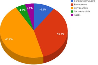 répartition des montants investis dans le web français par secteur en 2014. 