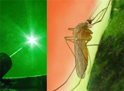 un canon laser à moustique pour éradiquer le paludisme