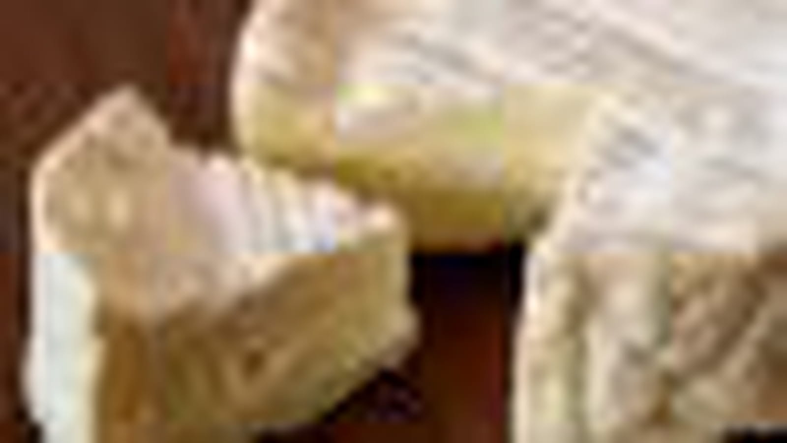 Camembert