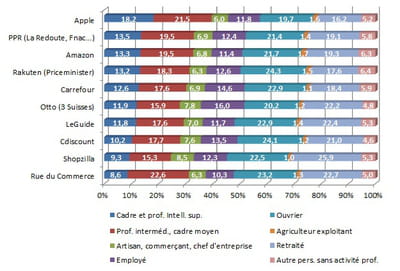 ventilation par catégorie socio-professionnelle de l'audience du top 10 des