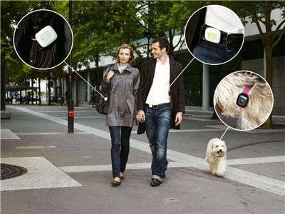 vérifier que son chien marche suffisamment pour rester en bonne santé.