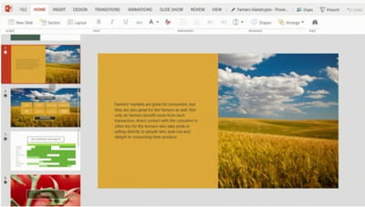 office windows 1