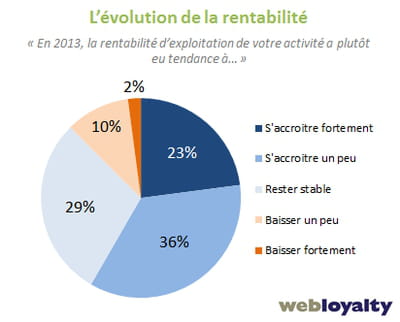 evolution de la rentabilité des sites marchands en 2013