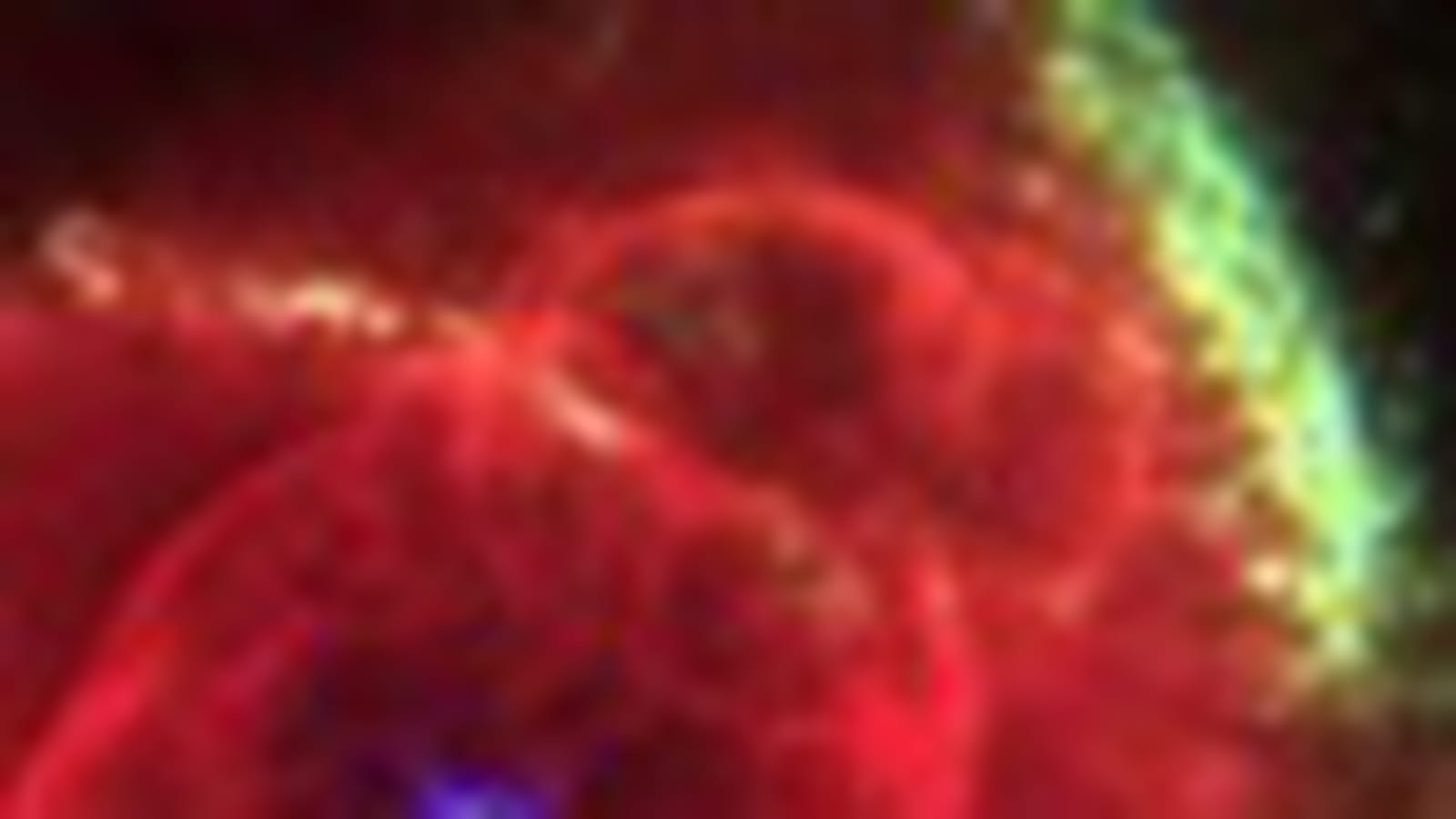 Oeil de chat