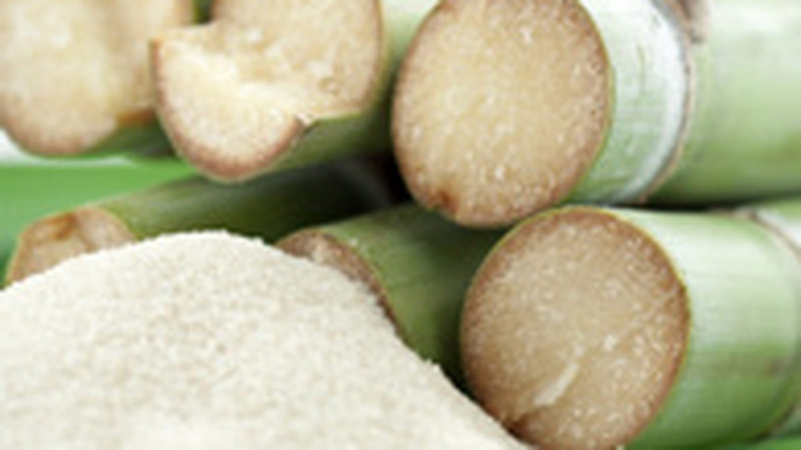 Sucre