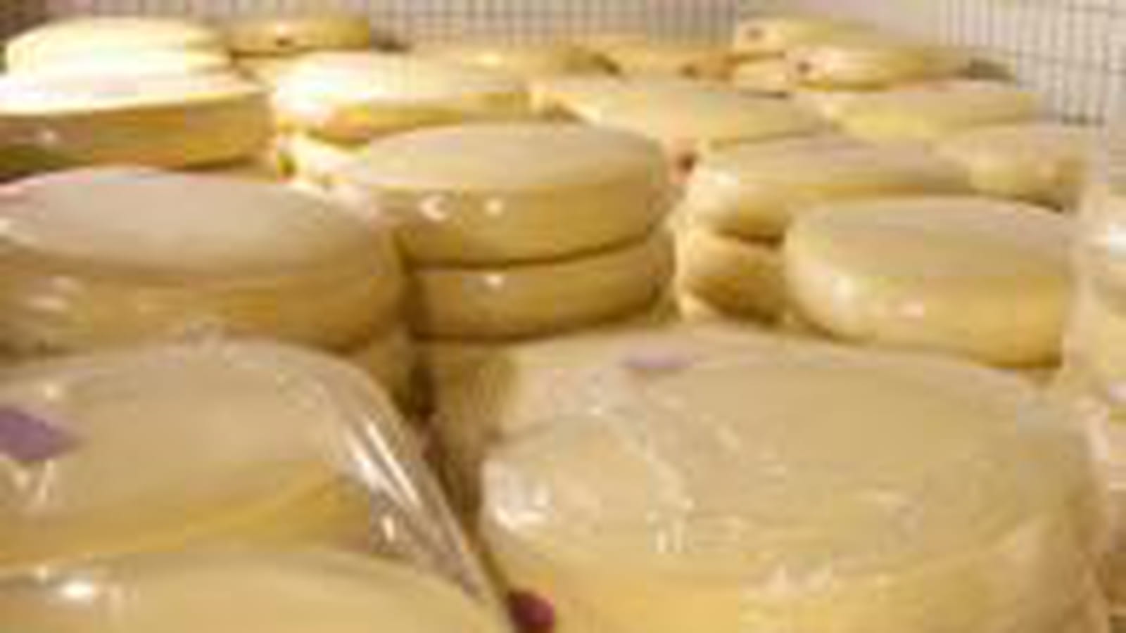 Fromages