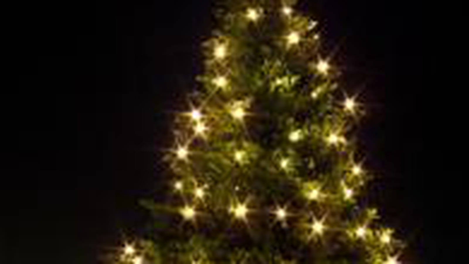 Arbre de Noël