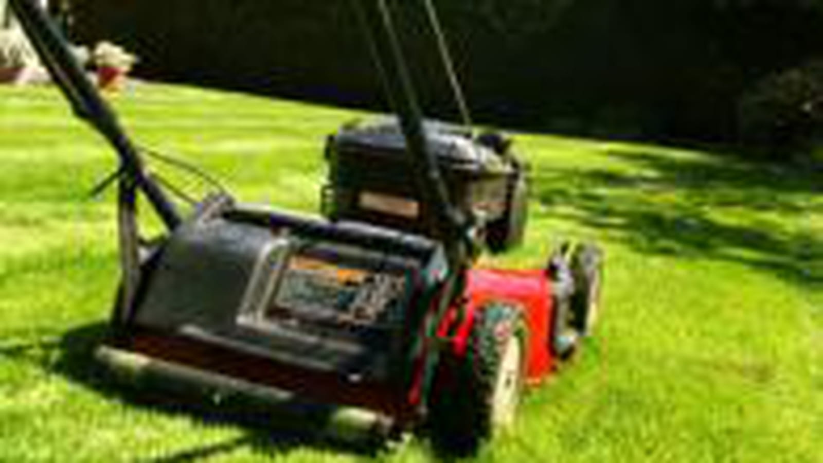 Entreprise de jardinage