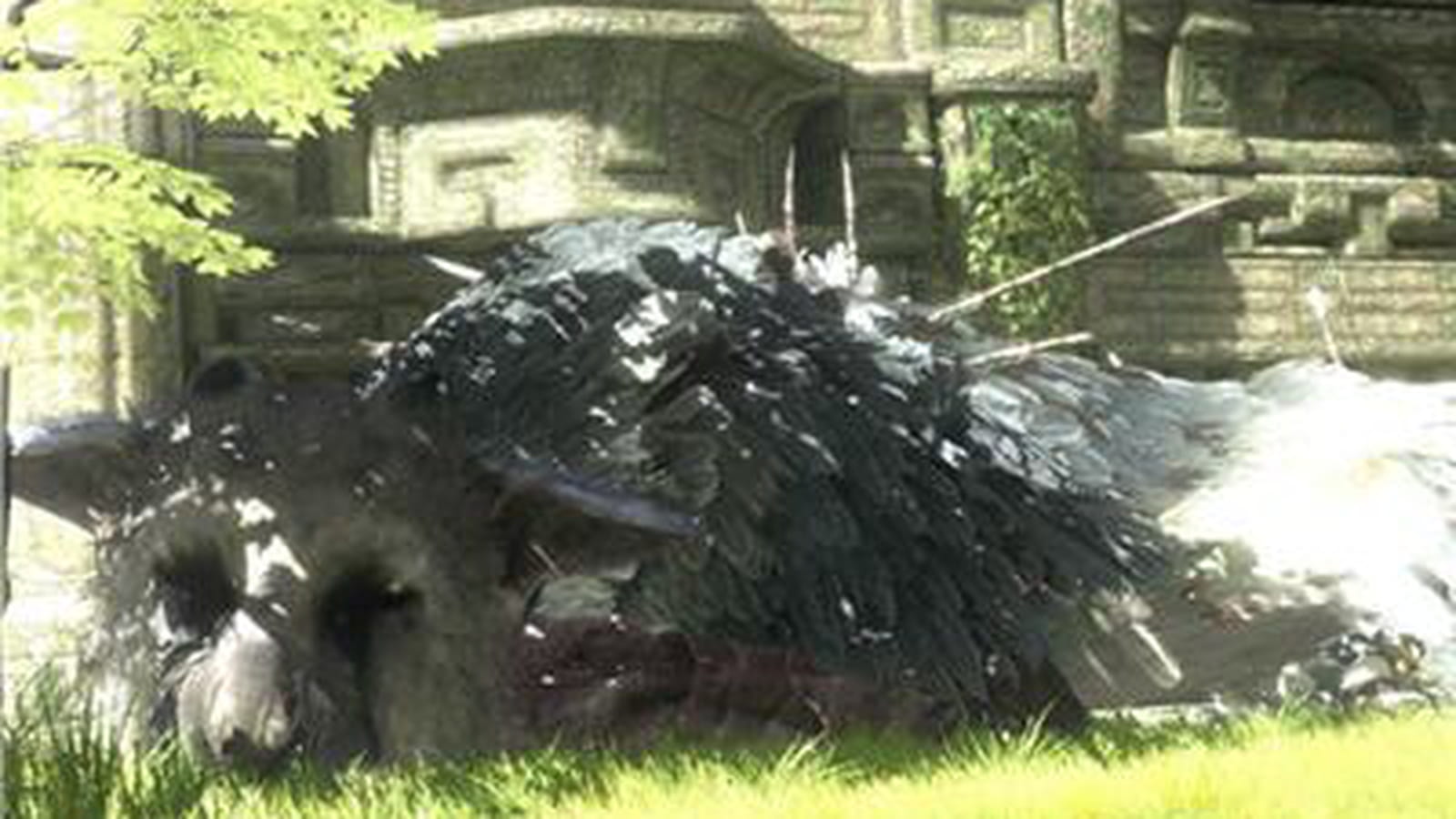 The Last Guardian