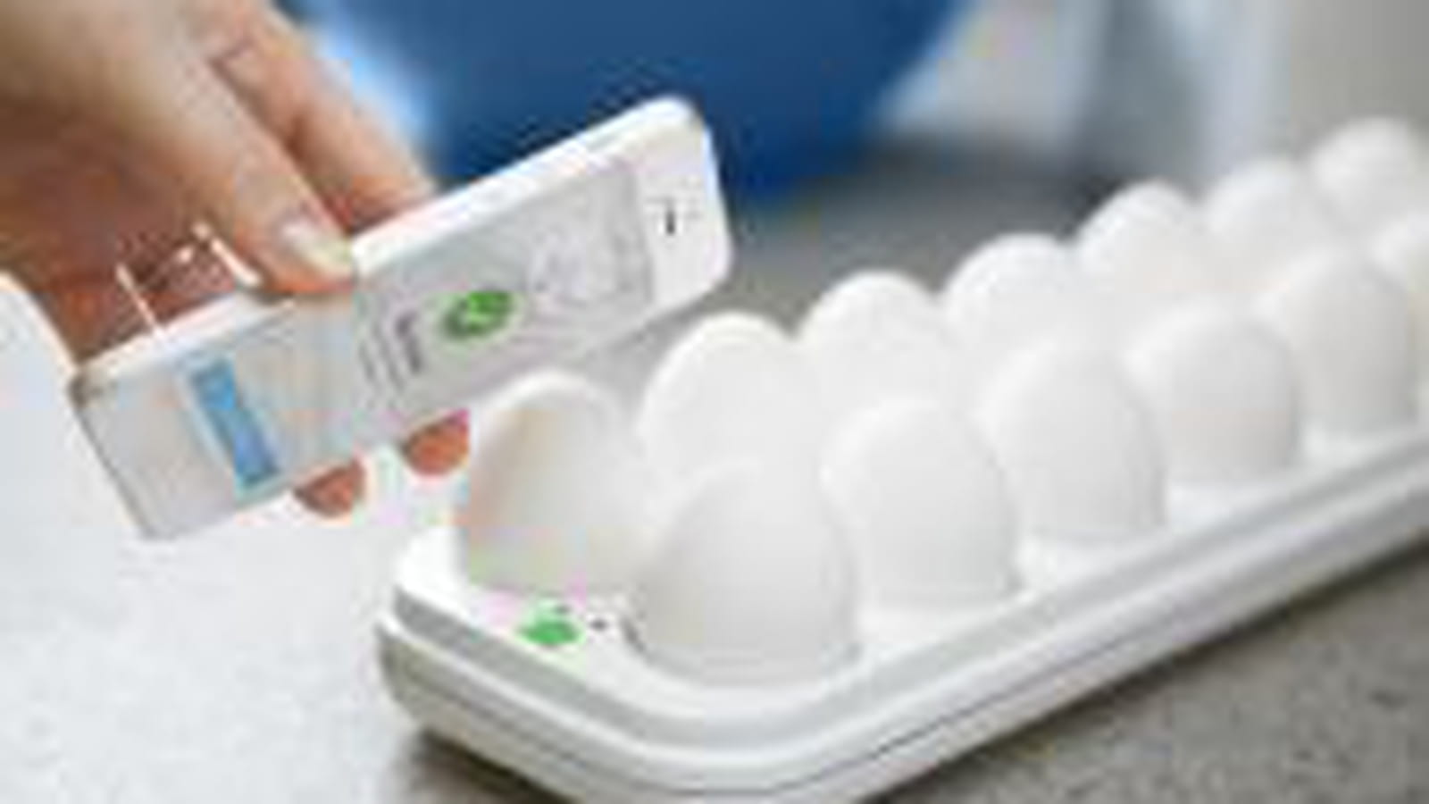 Egg minder