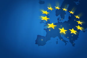 Bruxelles sous pression&nbsp;: Washington conteste les normes europ&eacute;ennes