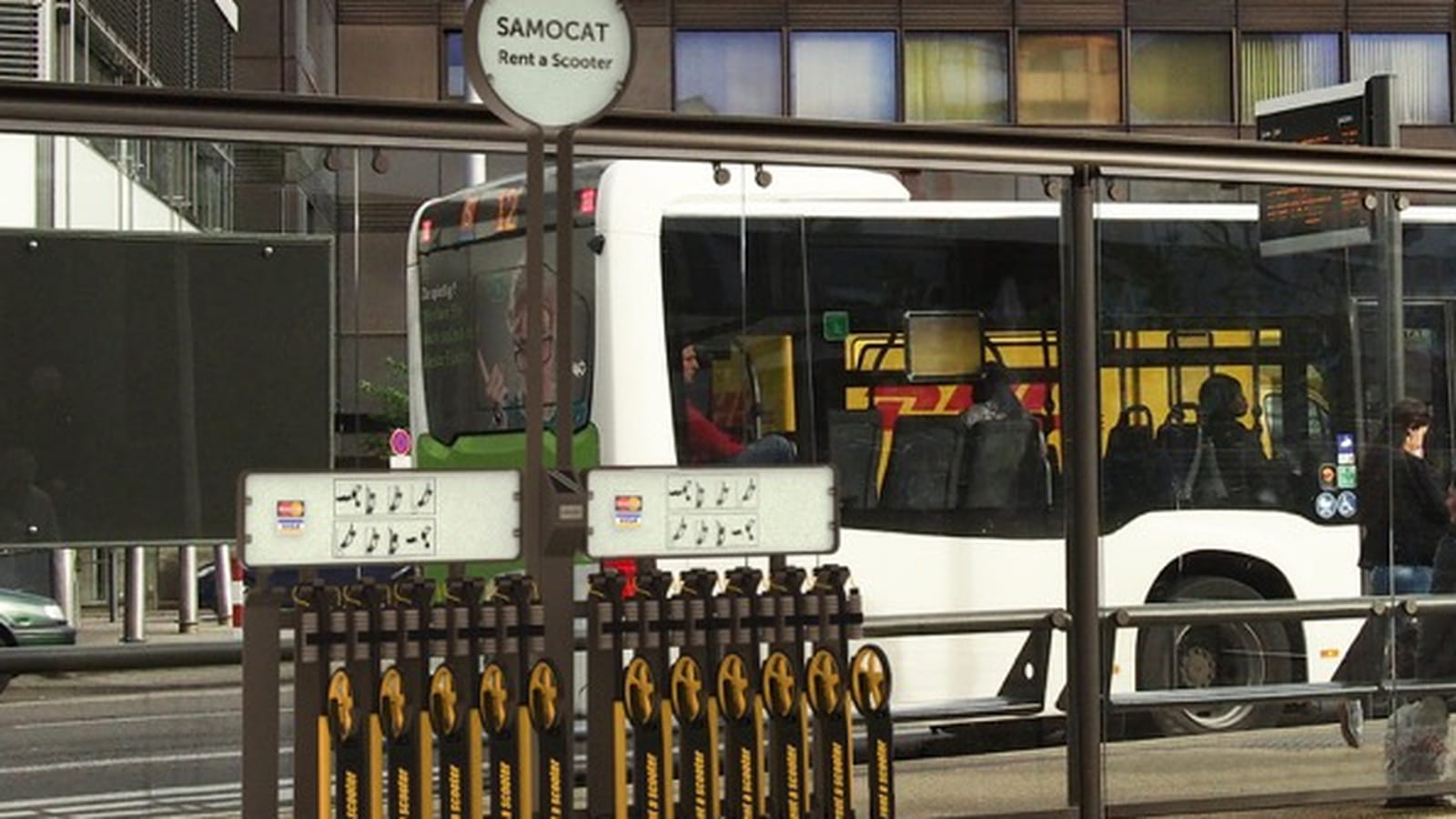 Samocat