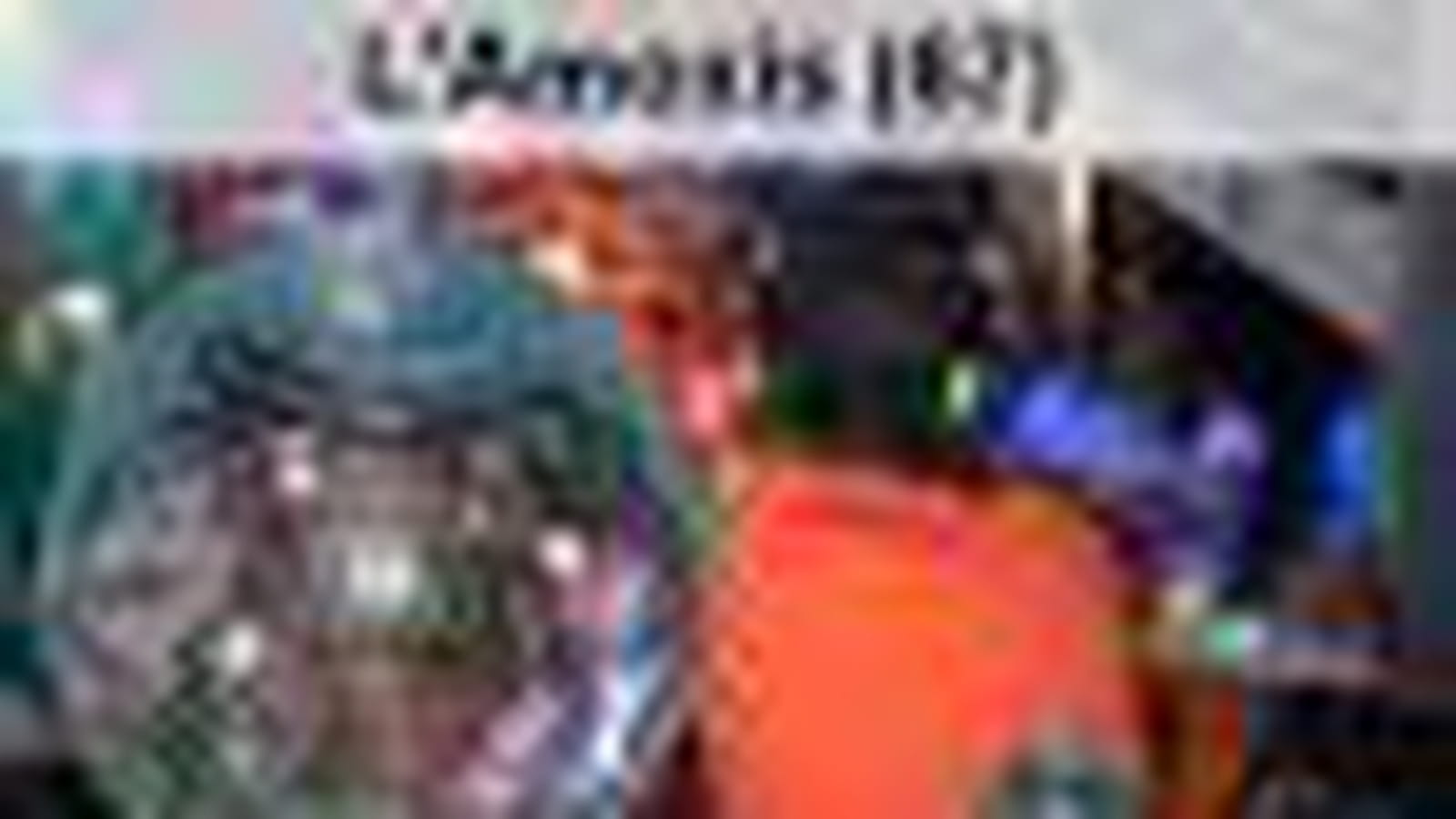 L'Amoxis (67)