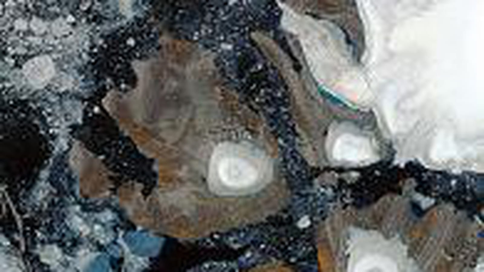 Arctique