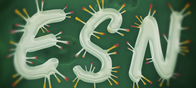 Les g&eacute;ants fran&ccedil;ais du service digital en ordre de bataille contre le coronavirus
