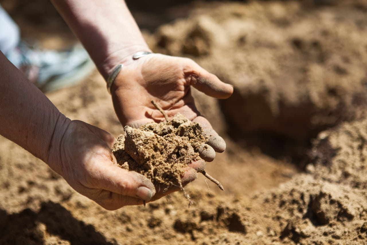 Il découvre un squelette dans son jardin, ce sont les restes d'un dinosaure de dix mètres de long