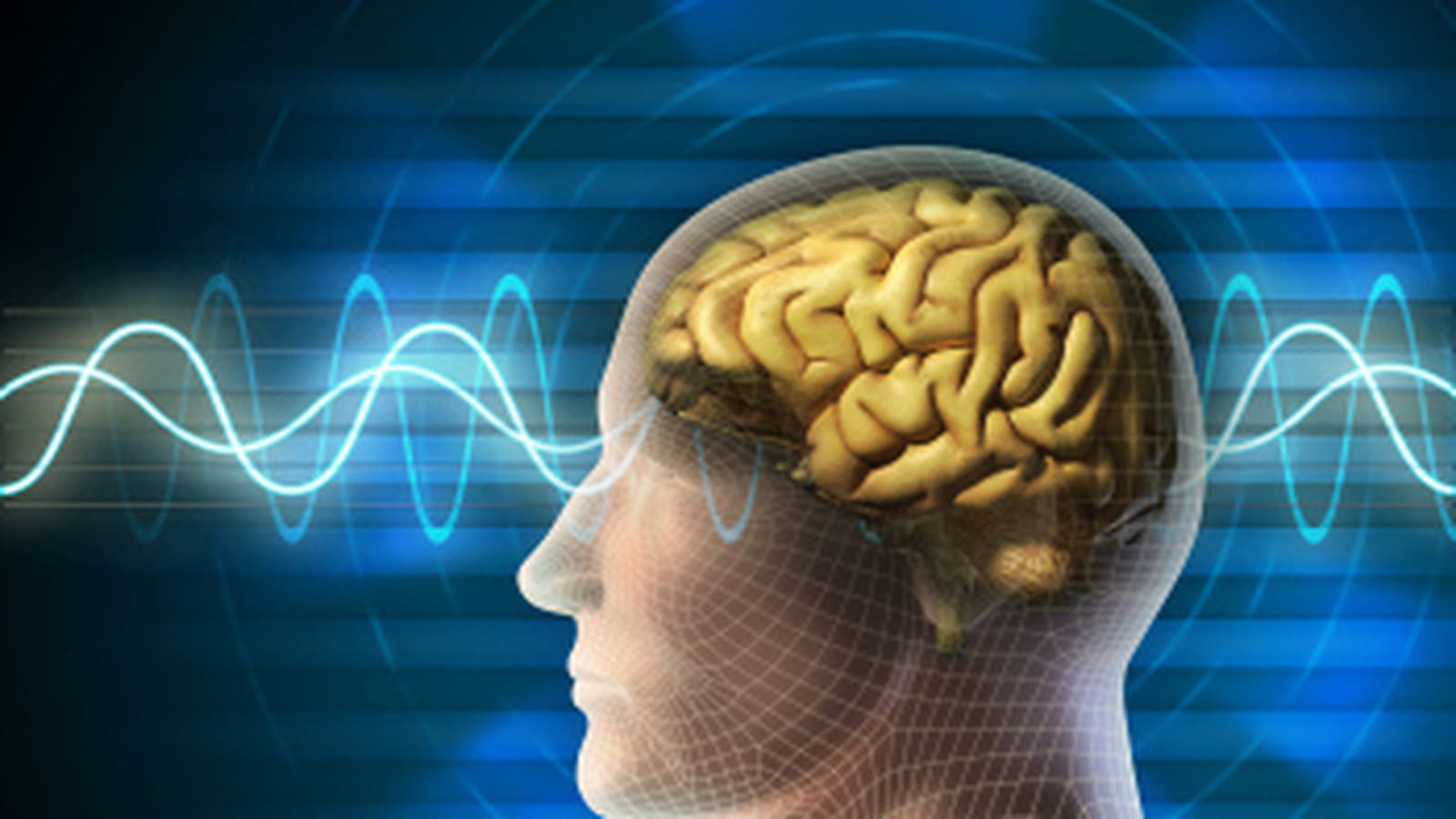Contrôle du cerveau