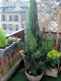 une terrasse parisienne. 